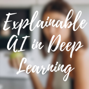 Explainable AI in Deep Learning: Interpret, Debug, and Trust Your Models