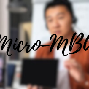 Micro-MBA: Core Business Skills for Non-Business People